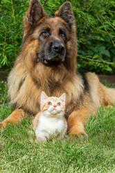 Similar image 21849071