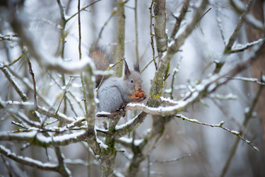 Similar image 21849076