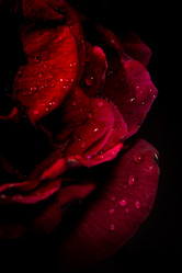 Similar image 21849077