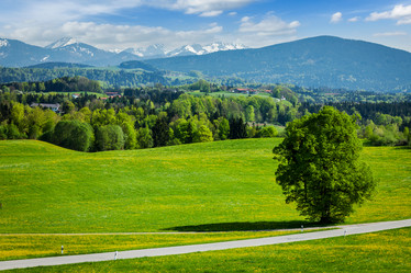 Similar image 21850275