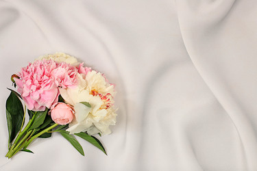 Similar image 21849078