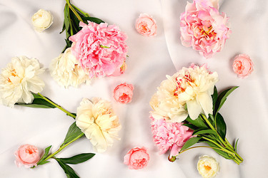 Similar image 21849083