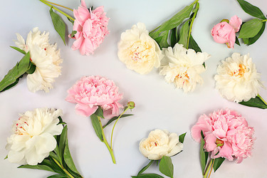 Similar image 21849084