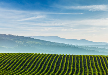 Similar image 21853389