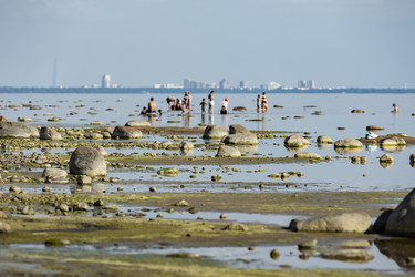 Similar image 21849091