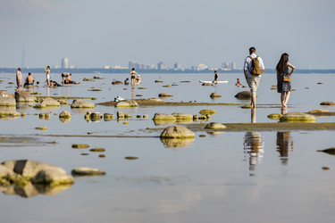 Similar image 21849093