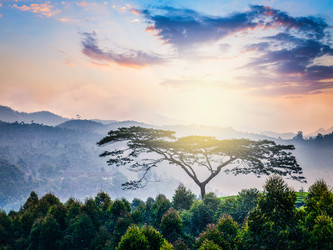 Similar image 21850288