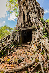 Similar image 21850312