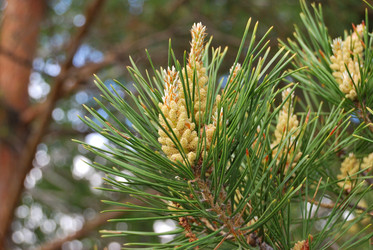 Similar image 21849388