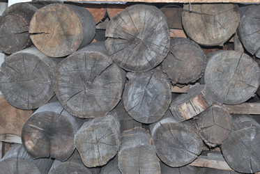 Similar image 21849389