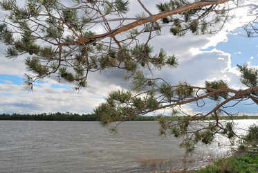 Similar image 21849392