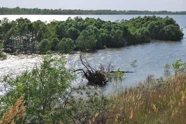 Similar image 21849403