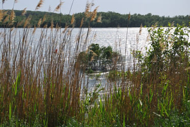 Similar image 21849404