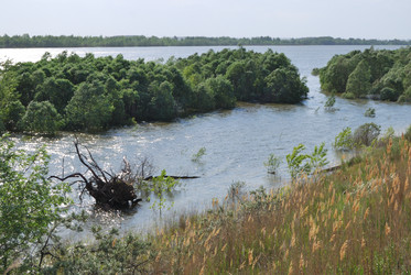 Similar image 21849405