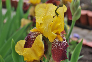 Similar image 21849410