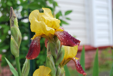 Similar image 21849411