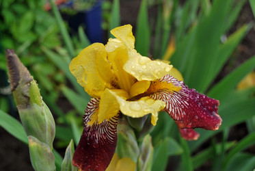 Similar image 21849412