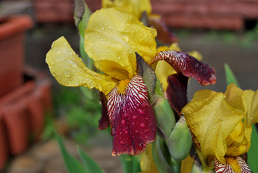 Similar image 21849414