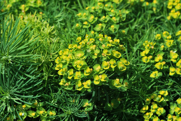 Similar image 21849418