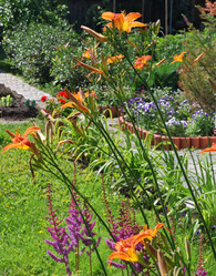 Similar image 21849421