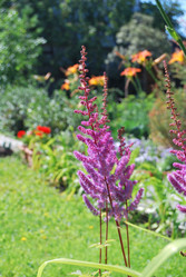 Similar image 21849422