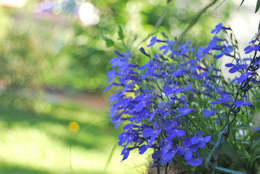 Similar image 21849423