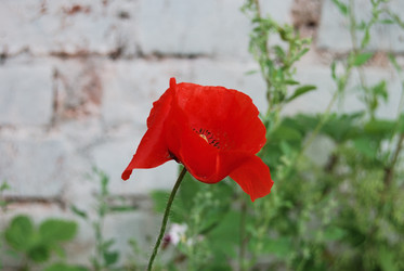 Similar image 21849424