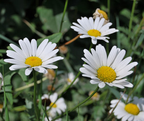 Similar image 21849425