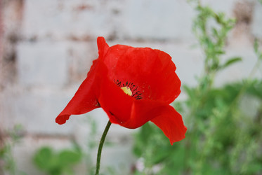 Similar image 21849426