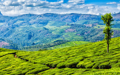 Similar image 21852773