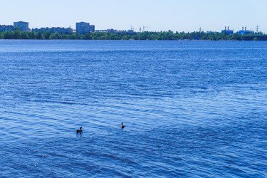 Similar image 21856039