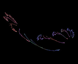 Similar image 21849661