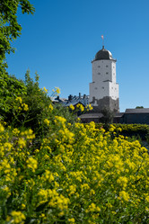 Similar image 21849112