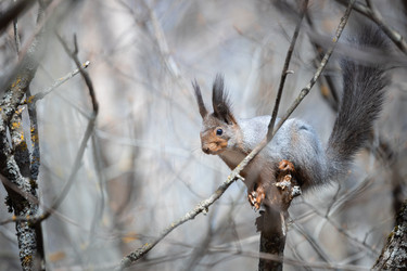 Similar image 21849115