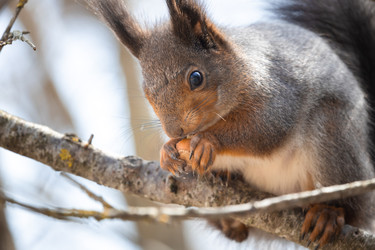 Similar image 21849116