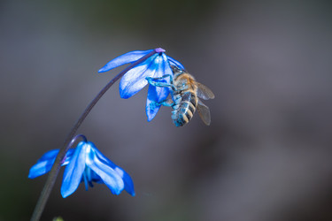 Similar image 21849117