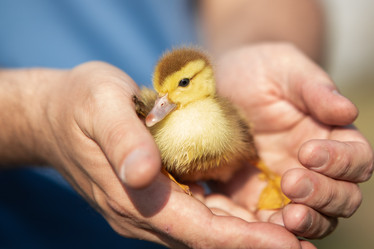 Similar image 21849118