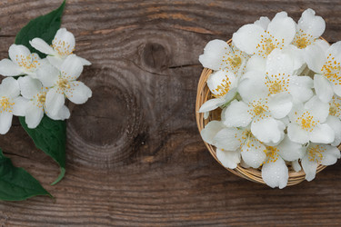 Similar image 21850688