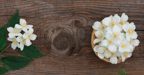 Similar image 21850689