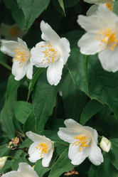 Similar image 21850694