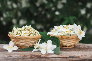 Similar image 21850697