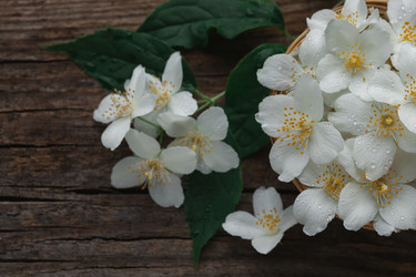 Similar image 21850700