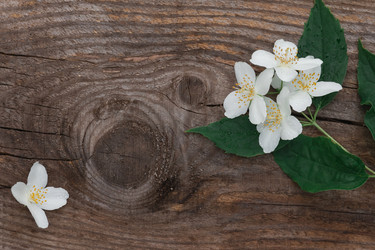 Similar image 21850701