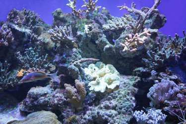 Similar image 21849125