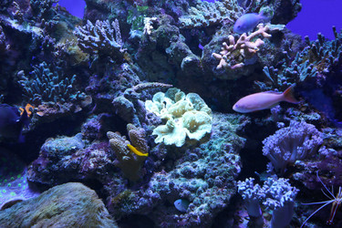 Similar image 21849126