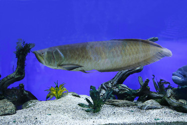 Similar image 21849130