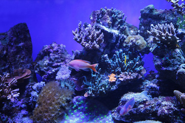 Similar image 21849131