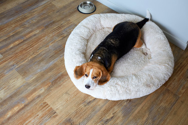 Similar image 21849987