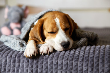 Similar image 21849988