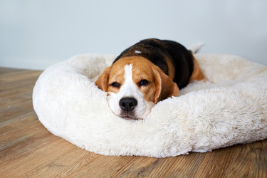 Similar image 21849989